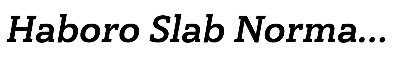 Haboro Slab Normal Ex Bold Italic